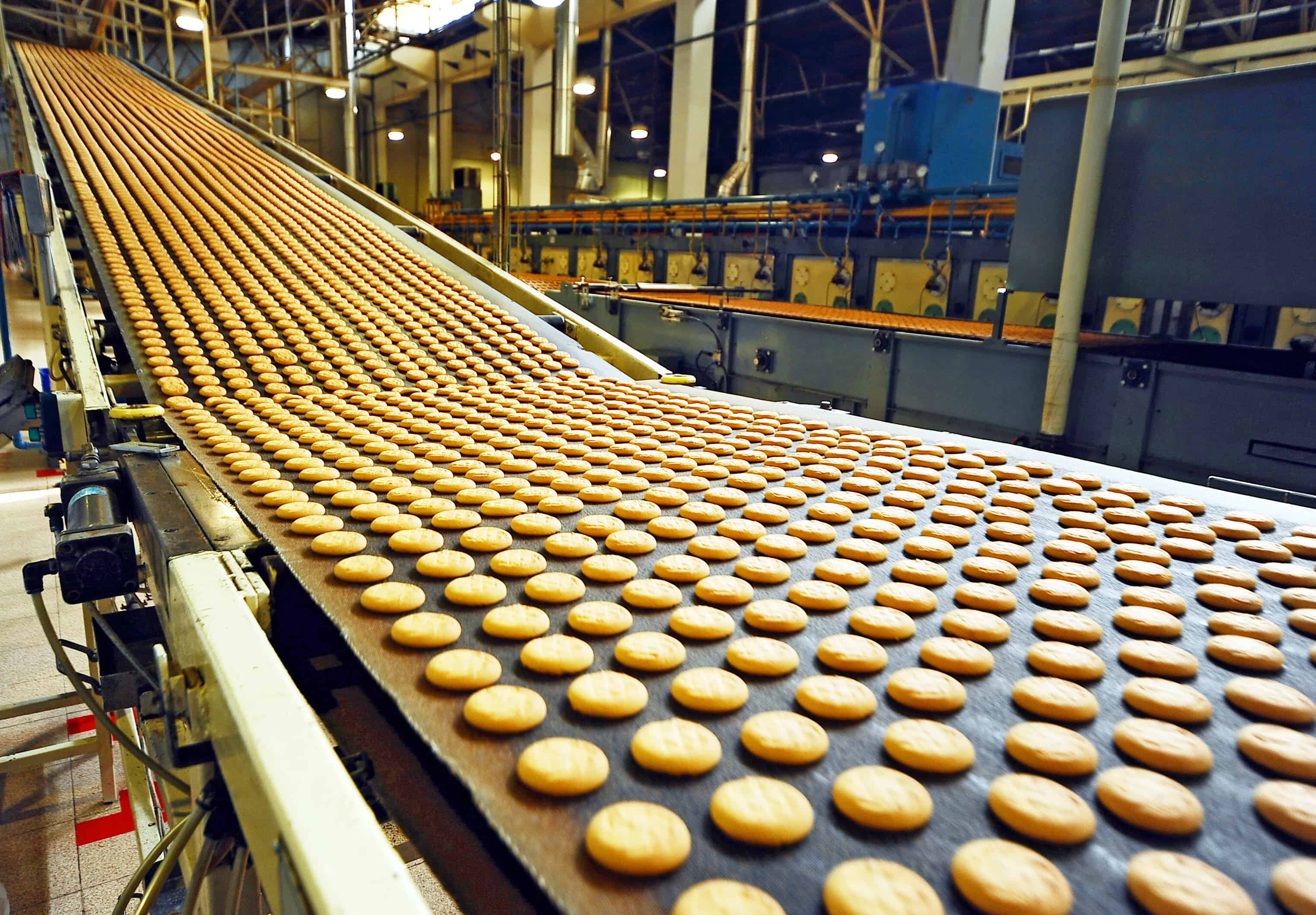 Food production line